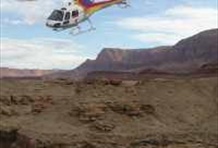 Golden Eagle from Las Vegas McCarran